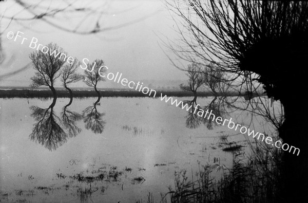 BECCLES MARSHES FLOODTIME